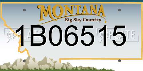 1B06515 Montana License Plate