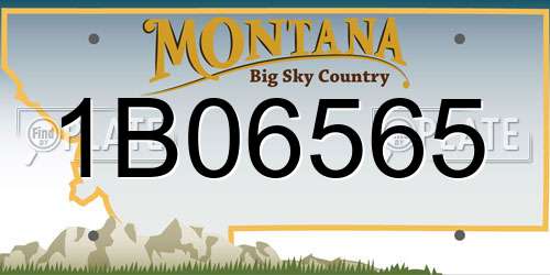 1B06565 Montana License Plate