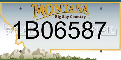 1B06587 Montana License Plate