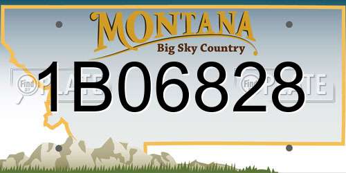 1B06828 Montana License Plate