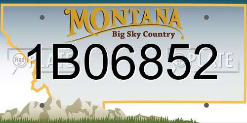 1B06852 Montana License Plate