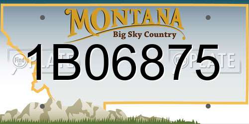 1B06875 Montana License Plate