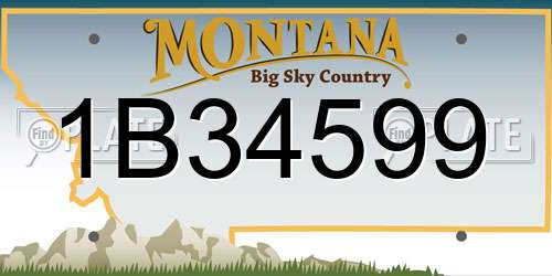 1B34599 Montana License Plate