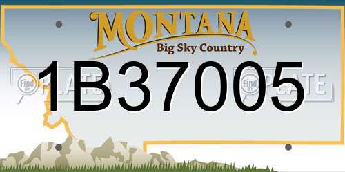 1B37005 Montana License Plate