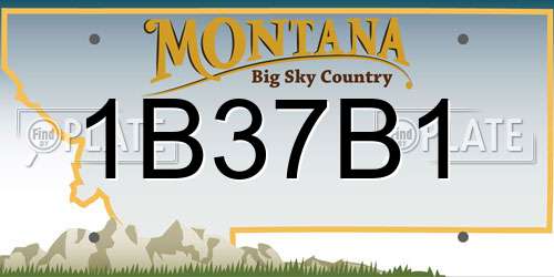 1B37B1 Montana License Plate