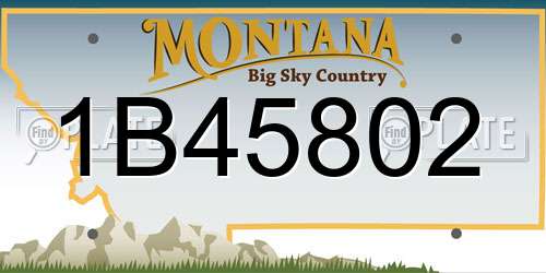 1B45802 Montana License Plate