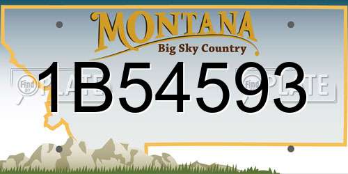 1B54593 Montana License Plate