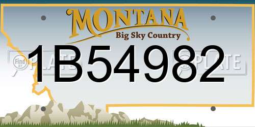 1B54982 Montana License Plate