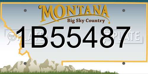 1B55487 Montana License Plate