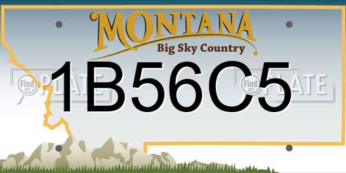 1B56C5 Montana License Plate