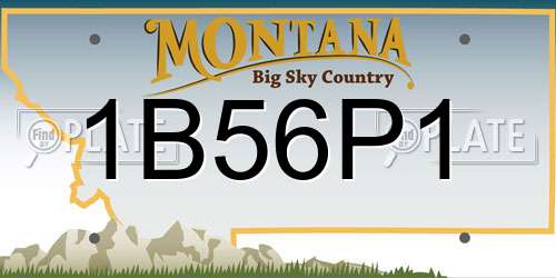 1B56P1 Montana License Plate
