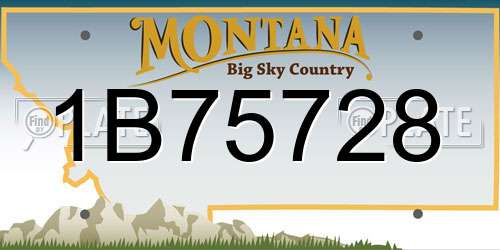 1B75728 Montana License Plate