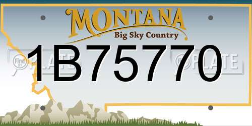 1B75770 Montana License Plate