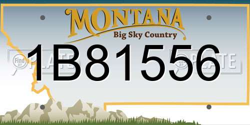 1B81556 Montana License Plate