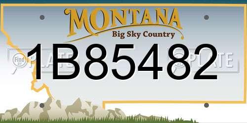 1B85482 Montana License Plate