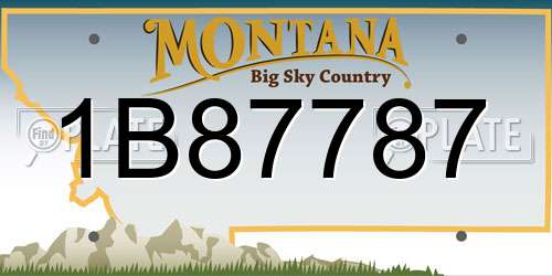 1B87787 Montana License Plate