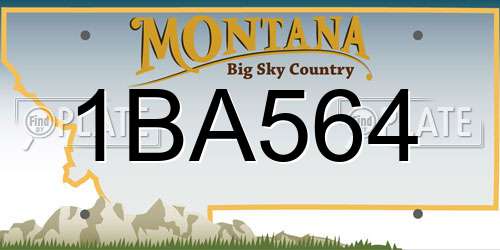 1BA564 Montana License Plate