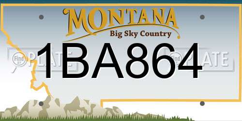 1BA864 Montana License Plate