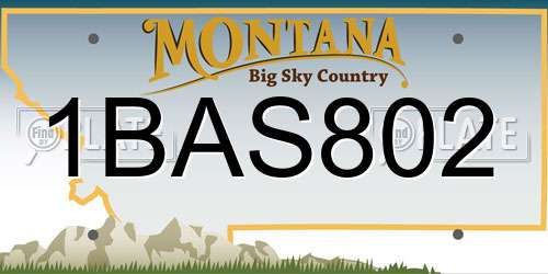 1BAS802 Montana License Plate