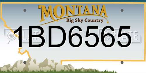 1BD6565 Montana License Plate