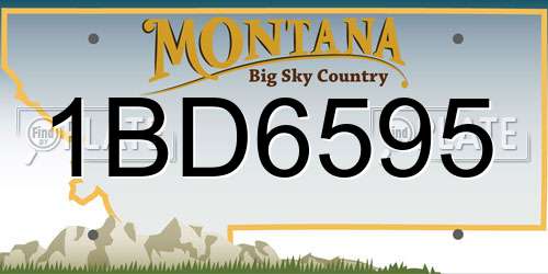 1BD6595 Montana License Plate