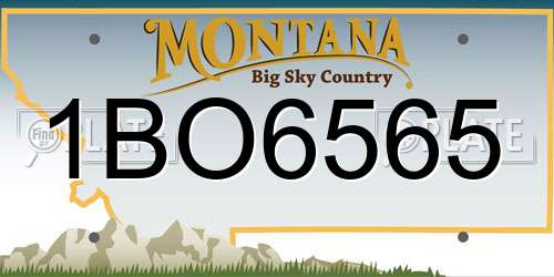 1BO6565 Montana License Plate