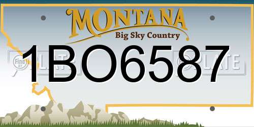 1BO6587 Montana License Plate