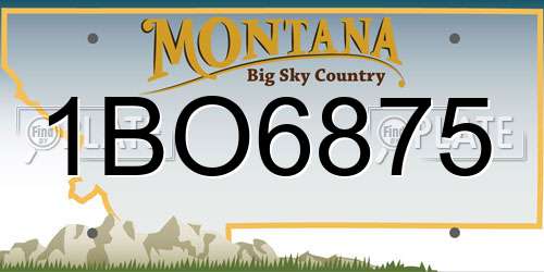 1BO6875 Montana License Plate