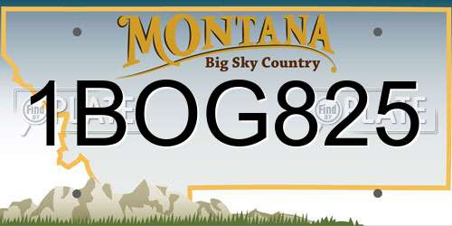1BOG825 Montana License Plate