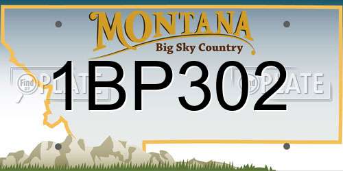 1BP302 Montana License Plate