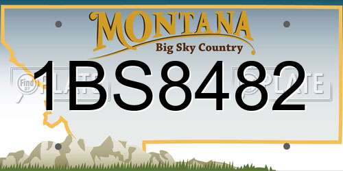 1BS8482 Montana License Plate