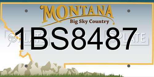 1BS8487 Montana License Plate