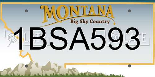 1BSA593 Montana License Plate