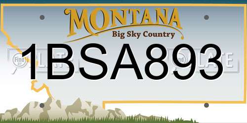 1BSA893 Montana License Plate
