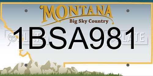 1BSA981 Montana License Plate