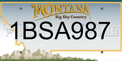 1BSA987 Montana License Plate