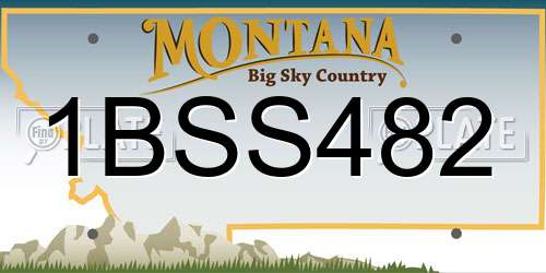 1BSS482 Montana License Plate