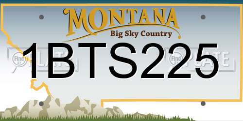1BTS225 Montana License Plate