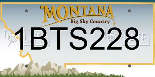 1BTS228 Montana License Plate