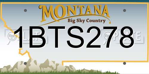 1BTS278 Montana License Plate