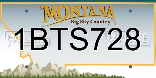 1BTS728 Montana License Plate