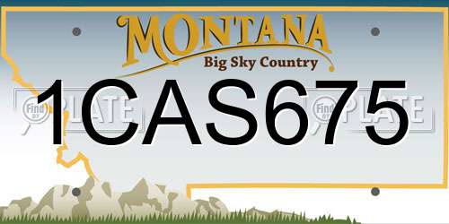 1CAS675 Montana License Plate