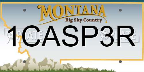 1CASP3R Montana License Plate