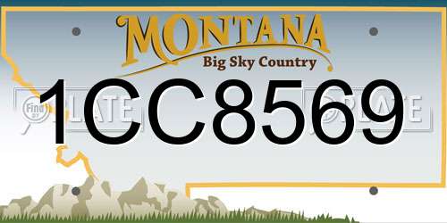 1CC8569 Montana License Plate