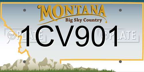 1CV901 Montana License Plate
