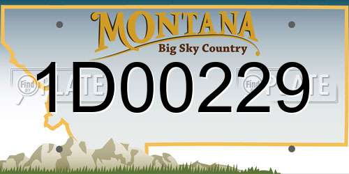 1D00229 Montana License Plate