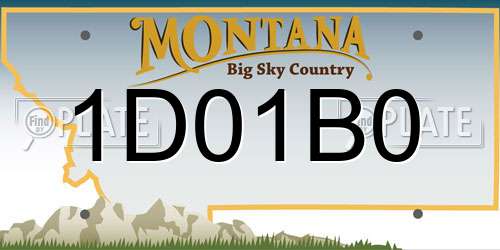 1D01B0 Montana License Plate