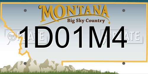 1D01M4 Montana License Plate