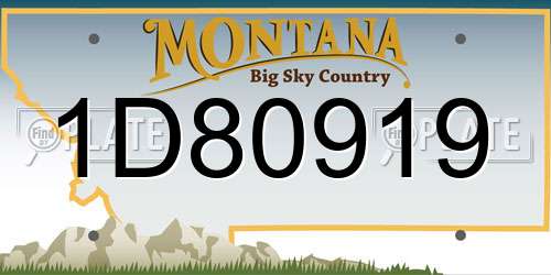 1D80919 Montana License Plate