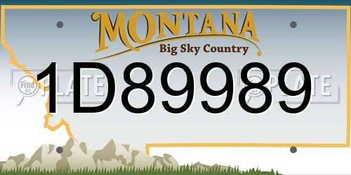 1D89989 Montana License Plate